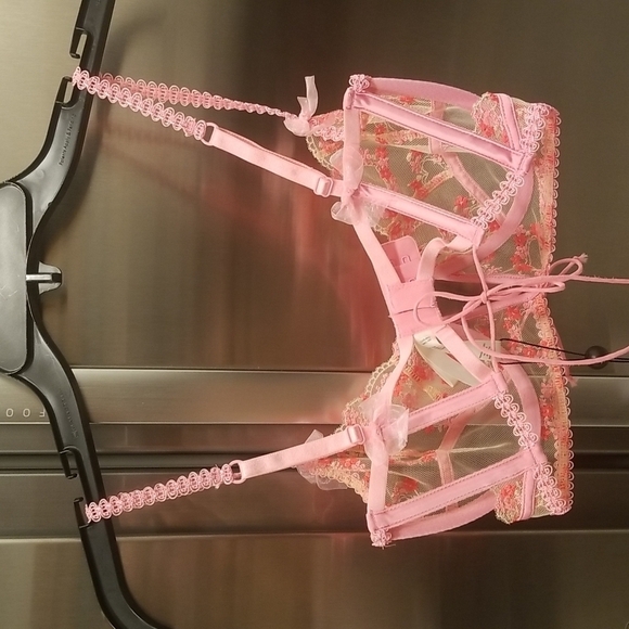 💕FOR LOVE AND LEMONS💕 Love Bouquet Embroidery Bra ~ Pink SDD NWT - Picture 10 of 16